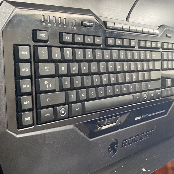 ROCCAT Multicolor gaming keyboard - Picture 5 of 8